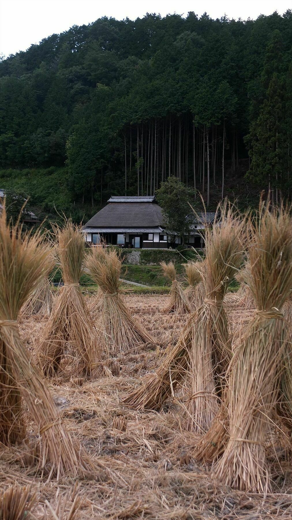 Villa Sasayuri-Ann Nara Exterior foto